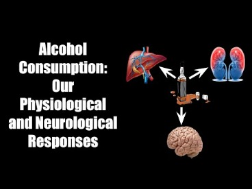 alcoholism and its effects on the central nervous system