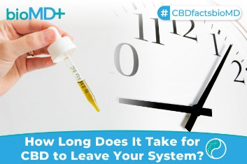 how long alcohol stays your system urine & blood test