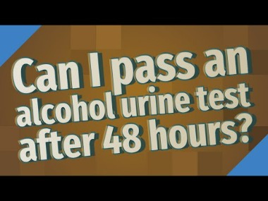 how long does alcohol stay in your system? blood and urine tests